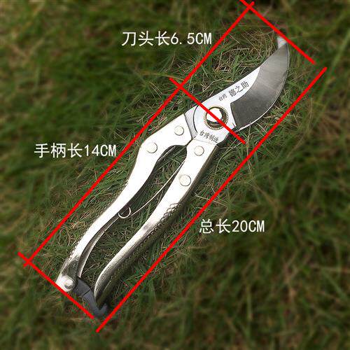 速发园林园艺剪刀园剪丁花修枝树枝剪刀果枝剪修花摘果工具鸡血藤