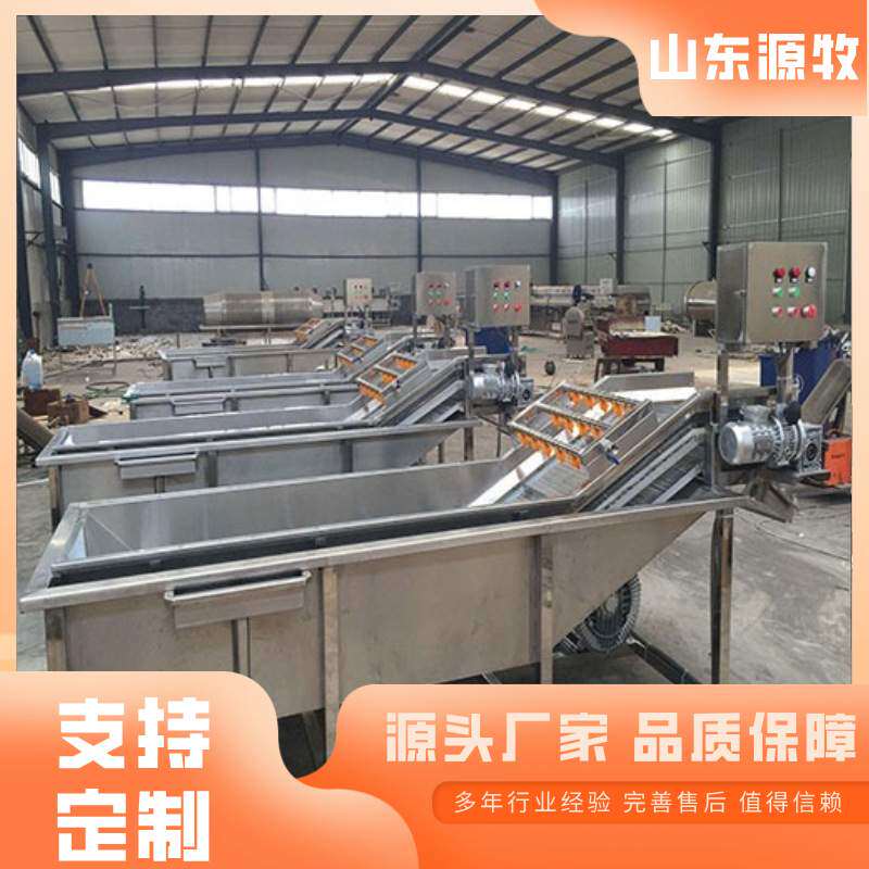多功能气泡清洗设备 西红柿花生冲洗设备 商用鲜果清洗机源牧