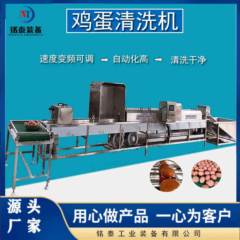 全自动洗蛋机 山鸡蛋清洗风干流水线 禽蛋加工清洗消毒设备