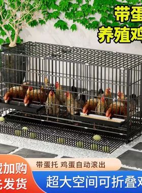 新型养鸡笼农村自建鸡窝室外过冬鸽子笼旧货市场生蛋菜园特大号