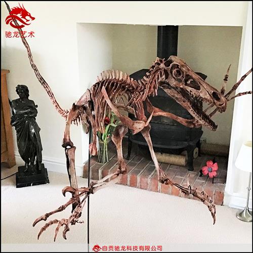 仿真蛇颈龙鱼龙骨架化石大型古生物骨骼化石复原标本模型定制