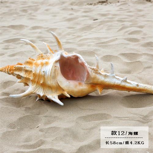 仿真海洋动物雕塑大珊瑚贝壳海星海螺玻璃钢摆件海洋馆景观装饰品