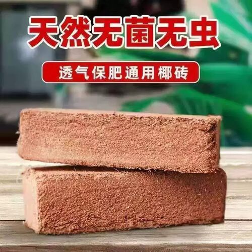 棷砖耶砖土壤脱盐无菌椰糠椰砖土大块椰子砖营养土种菜养花通用型