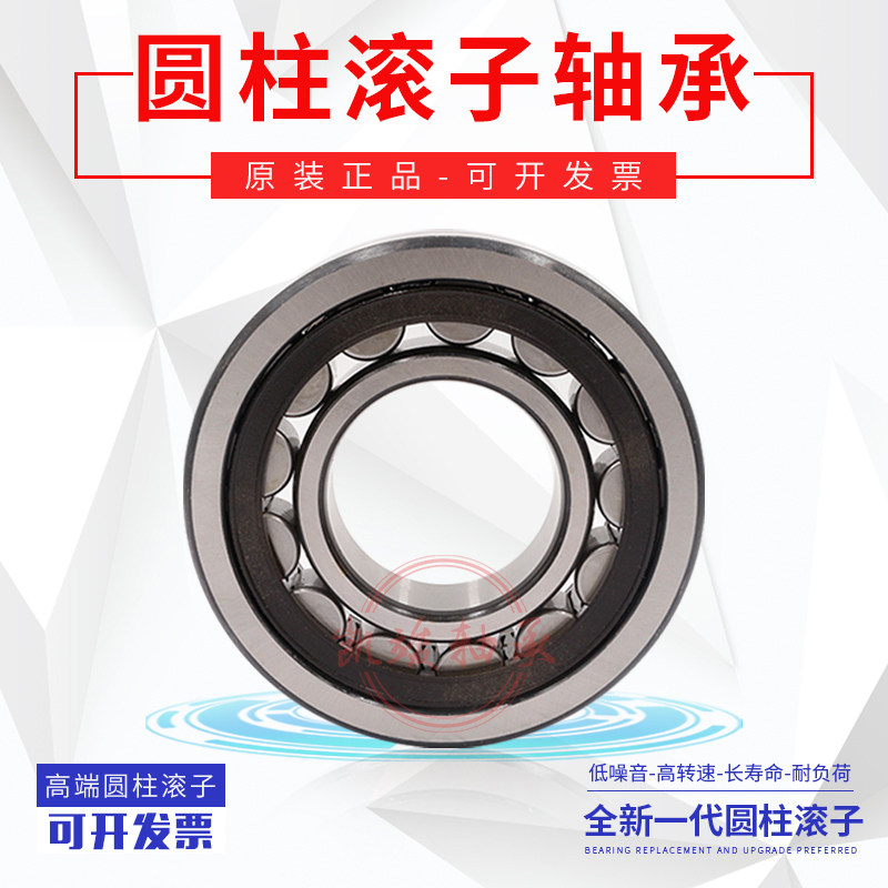 进口NSK圆柱轴承RN309M RN310M RN311M RN312M