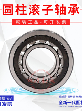 进口NSK圆柱轴承RN309M RN310M RN311M RN312M