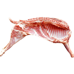 甘肃羊肉新鲜现杀半只羊甘肃羊羔肉整只土滩羊肉羊排羊腿年货礼盒