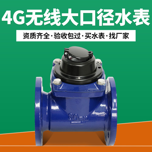 远传物联网4G大口径工业