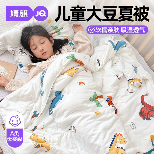 A类儿童被子被芯四季通用小被子a