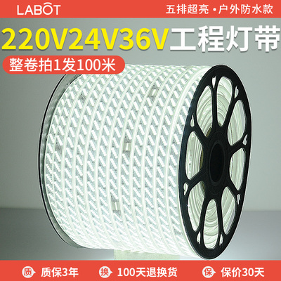 LED灯带220v户外防水地下室隧道工地亮化装饰照明白光灯条24V36V