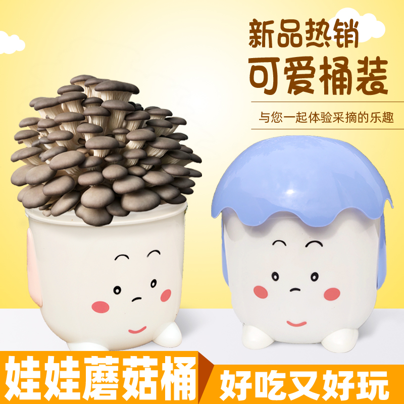 喷水就长在家种蘑菇好吃有趣