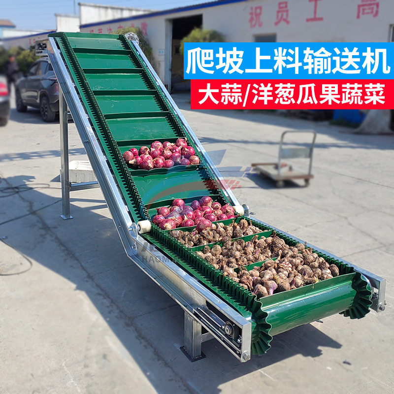 大蒜洋葱西葫芦上料机蔬菜瓜果皮带上料机爬坡皮带输送机传送带