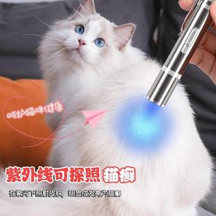 infrared gree funny stick toy pen 新品 rechargeable Cat