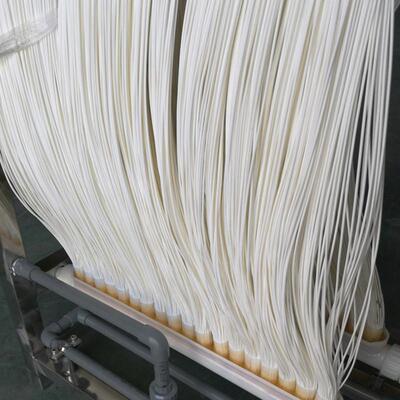 mbr膜污水处理帘式膜PVDF材质平板膜工业废水反应器中空纤维组件