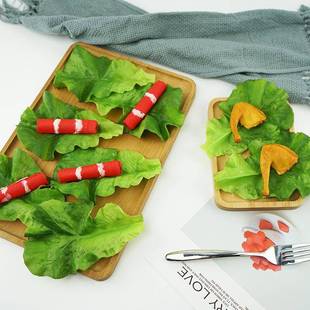 摆设道具假蔬果真生生菜真叶菜模型装 橱柜家居软装 饰菜