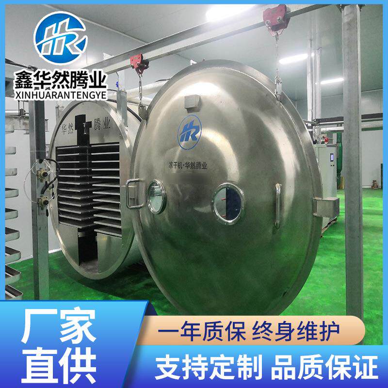 婴儿食品冷冻干燥厂家脱脂奶粉真空冻干机哈密瓜真空冷冻干燥机器