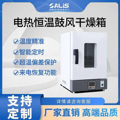 智能控温电热鼓风干燥箱烘箱工业烤箱DHG-9070/9140/9240/9420