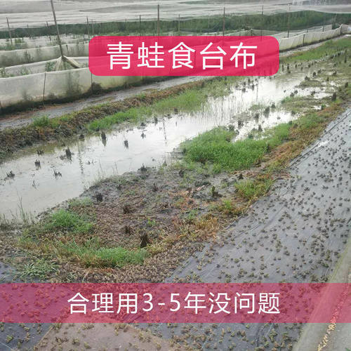 青蛙养殖围网防逃网养蛙围网蟾蜍食台网牛蛙防虫网专用网布包邮
