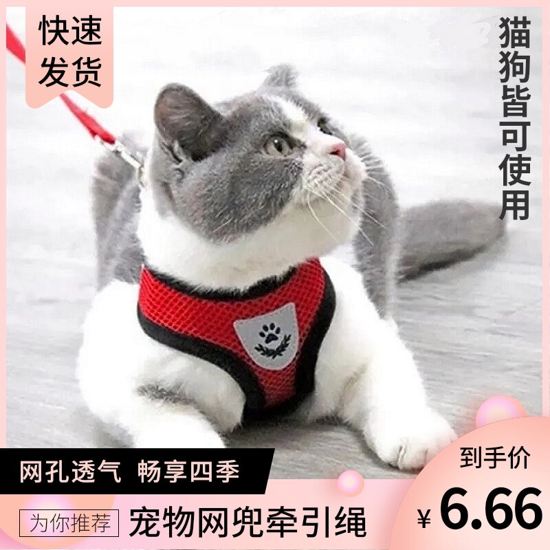 现货速发猫咪背心式可外出猫咪胸背带防挣脱可调节猫绳溜猫绳猫链