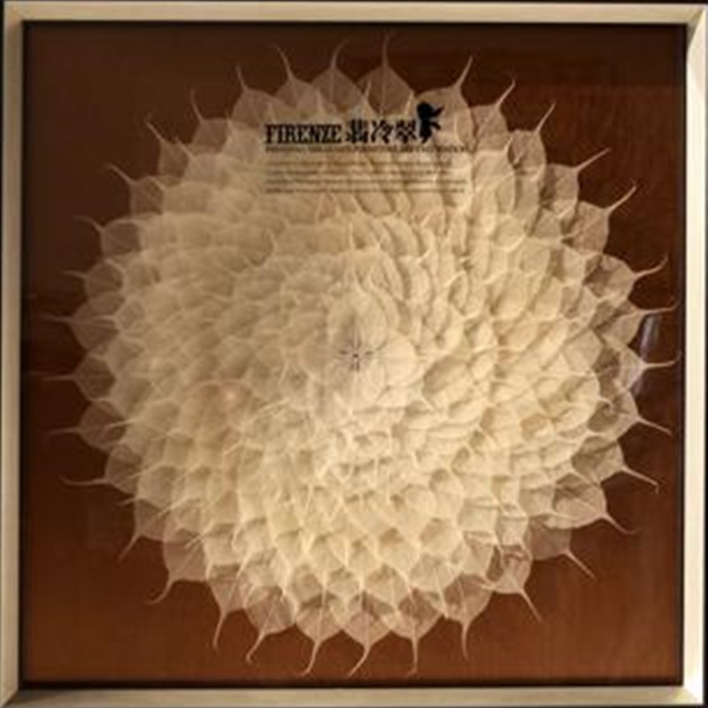 现货速发美式客厅装饰挂画菩提树叶实物玄关立体壁画图片