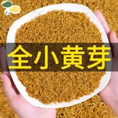 正宗小黄芽 金骏眉红茶茶叶明前特嫩芽2025新茶全黄芽蜜香批发