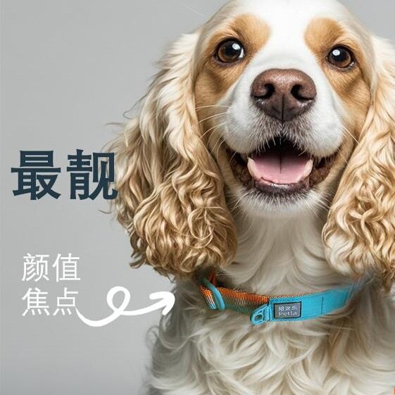 狗狗项圈防爆冲牵引绳不勒手可调节中大型犬小型犬脖圈