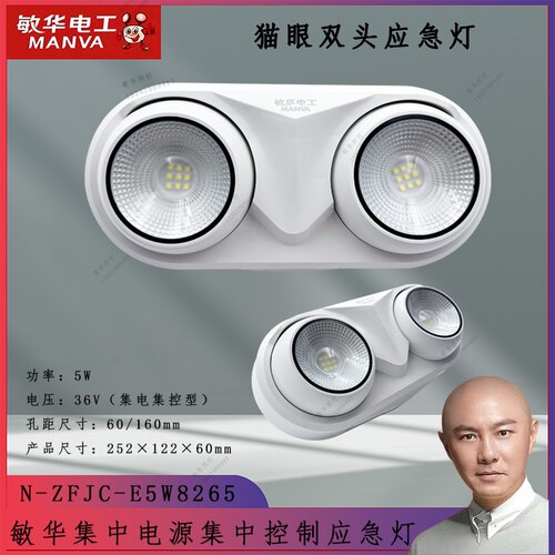 敏华电工集电集控36V智能猫眼双头应急灯（消防应急双头灯M8265）