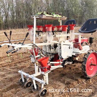 自走式蔬菜苗移栽机辣椒西红柿汽油移栽机供应苗杯2行4行