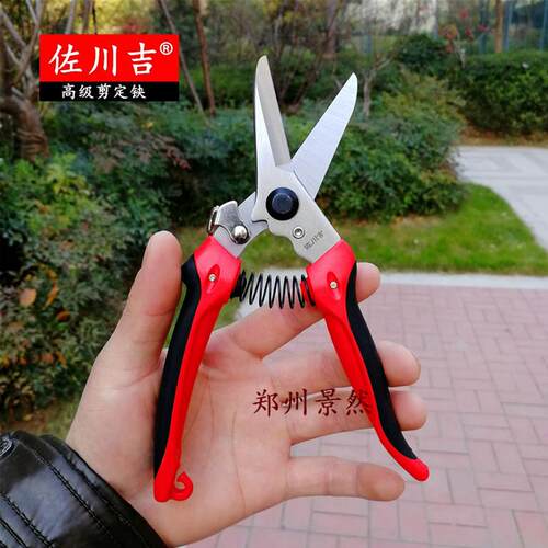 进口佐川吉弯口直口尖口修枝剪摘花果叶芽剪盆景剪园林剪刀包邮