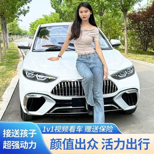 电动四轮车新款四轮新能源老年代步车全封闭油电两用成人家用轿车