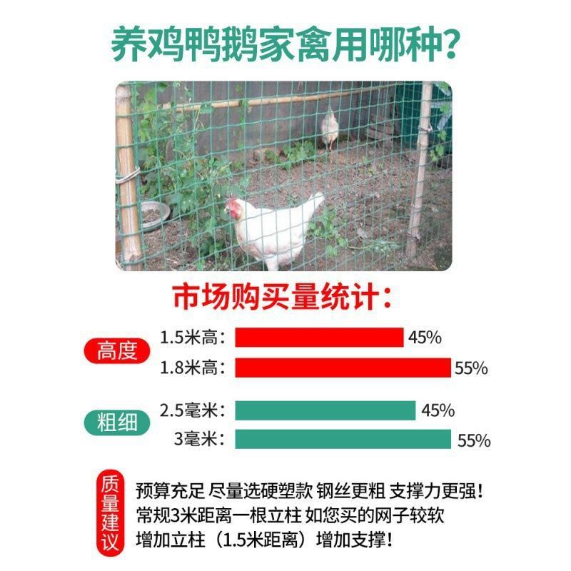 防锈铁丝网格养鸡围栏养殖拦鸡护栏果园栅栏家用圈地荷兰网