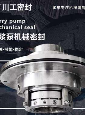 旋片真空泵50JZJ-A46S545HDD110旋转机械密封负极匀浆耐高温密封