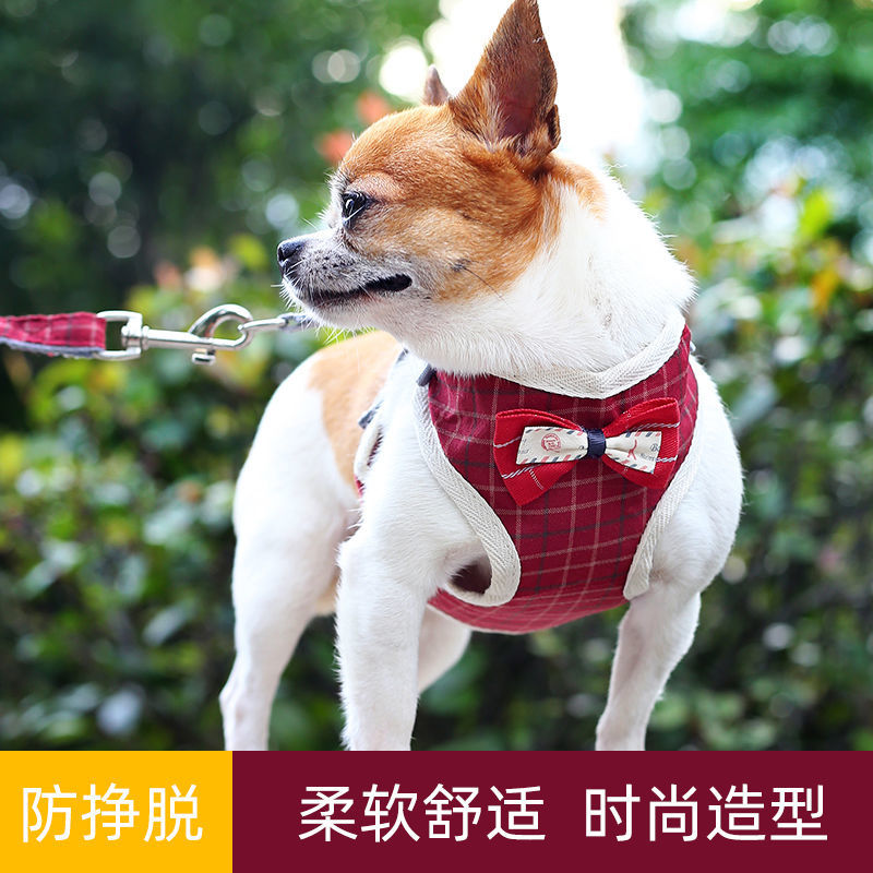 极速中型小c型犬背心式狗狗牵引绳泰迪狗链子遛狗绳宠物胸背带狗