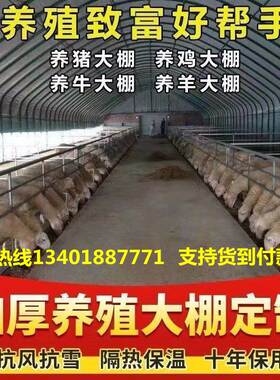 极速温室大棚骨架养殖蔬菜大棚钢管D用品连体连栋农业椭圆管全套