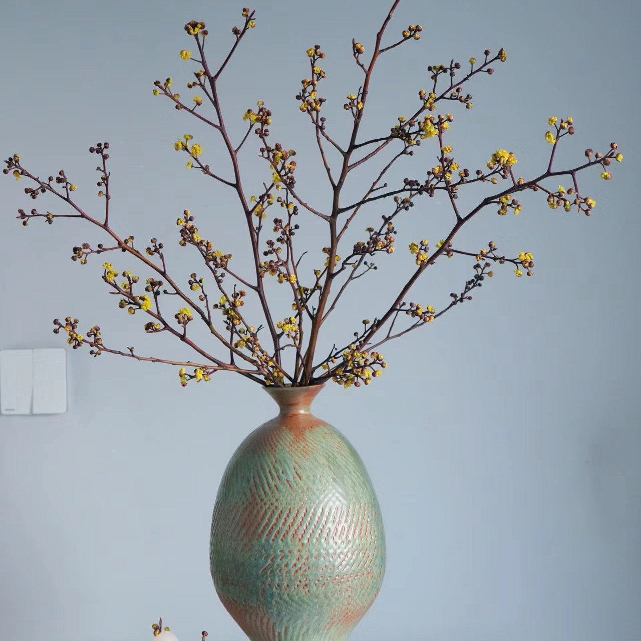 【110cm灯台木鲜花干枝】云南基地直供花材可做干花,鲜花速递/花卉仿真/绿植园艺,花材,淘宝优惠券,粉丝福利购,淘宝优惠卷