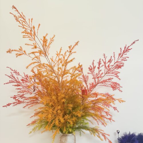 千层金黄金香柳桌摆款鲜花可做干花云南基地直发真花家居鲜切枝