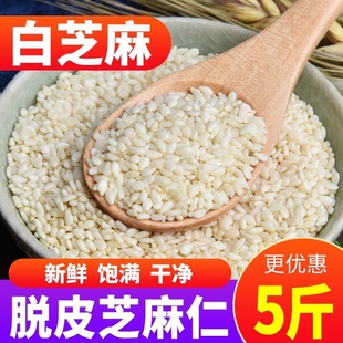 新生的白芝麻脱皮白芝麻粒干净无沙饱满油麻白芝麻仁农家产新芝麻