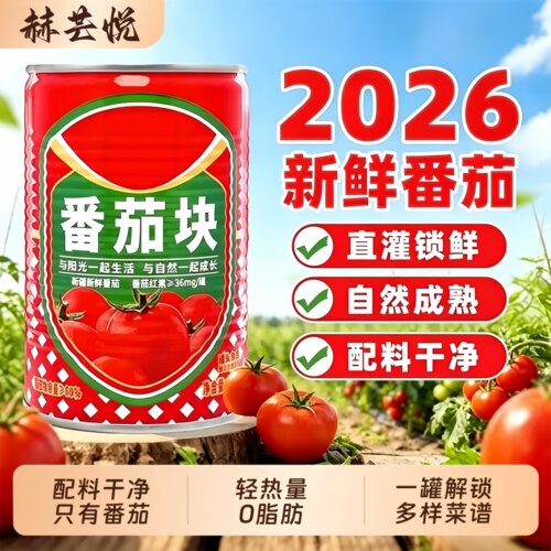 新疆去皮番茄块罐头400g新鲜无添