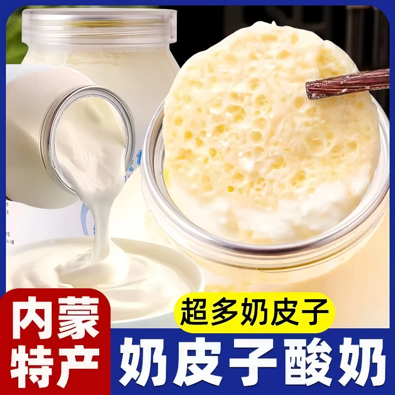 鲜奶皮子酸奶大桶内蒙古特产酸奶