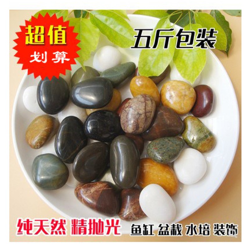 速发精品鹅卵石雨花石小石子鱼缸花盆装饰盆栽造景园艺彩石头 5斤