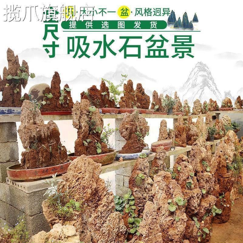 速发吸水石盆景上水石假山石奇石鱼缸造景家居装饰水秀石头奇石小