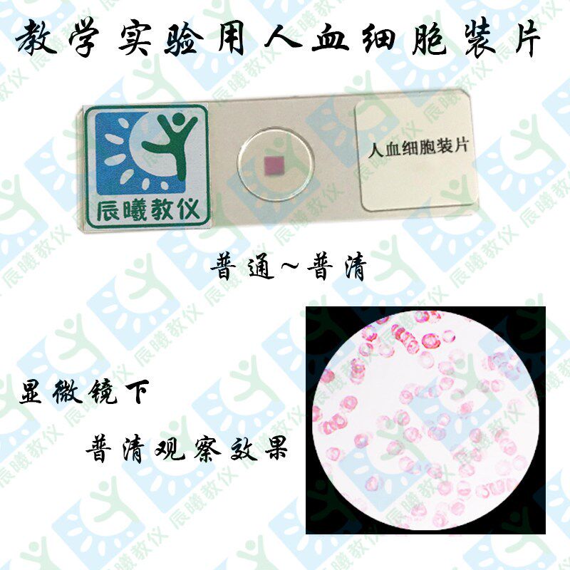 速发高清4552人血细胞装片 生物玻片标本中学显微镜专用切片教学