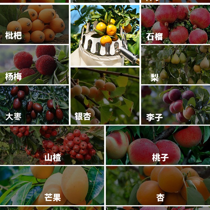 好货摘果子神器高空桃李子杏苹果杨梅水果荔枝芒果伸缩杆多功能的