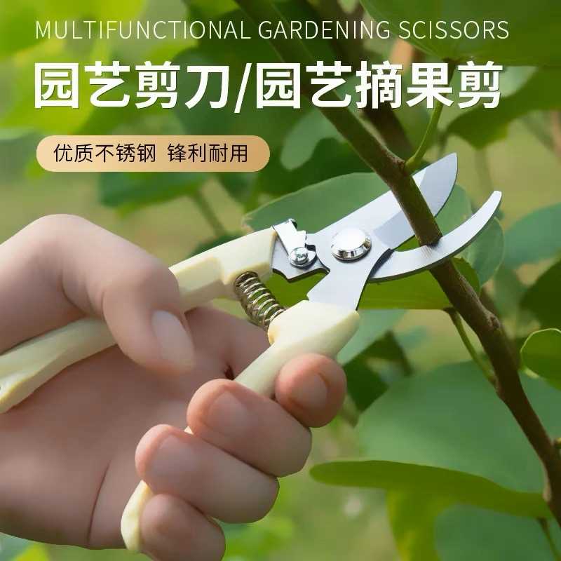 花剪园艺剪刀修枝剪家用专用工具果树树枝修花剪子省力园林大剪刀
