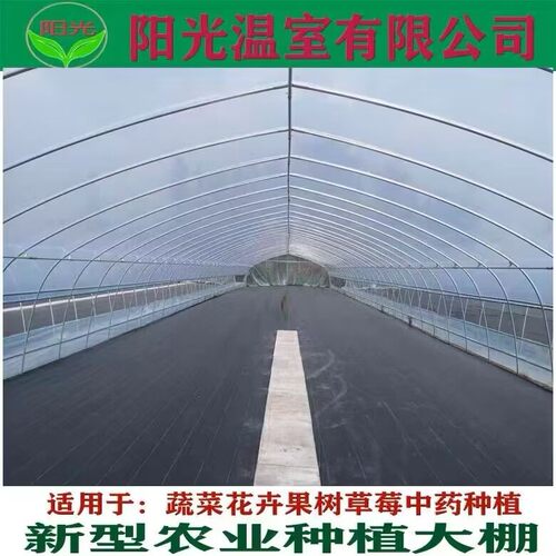 极速养殖大棚骨架养鸡场猪舍牛棚羊圈保温棚温室钢管钢架养猪大棚