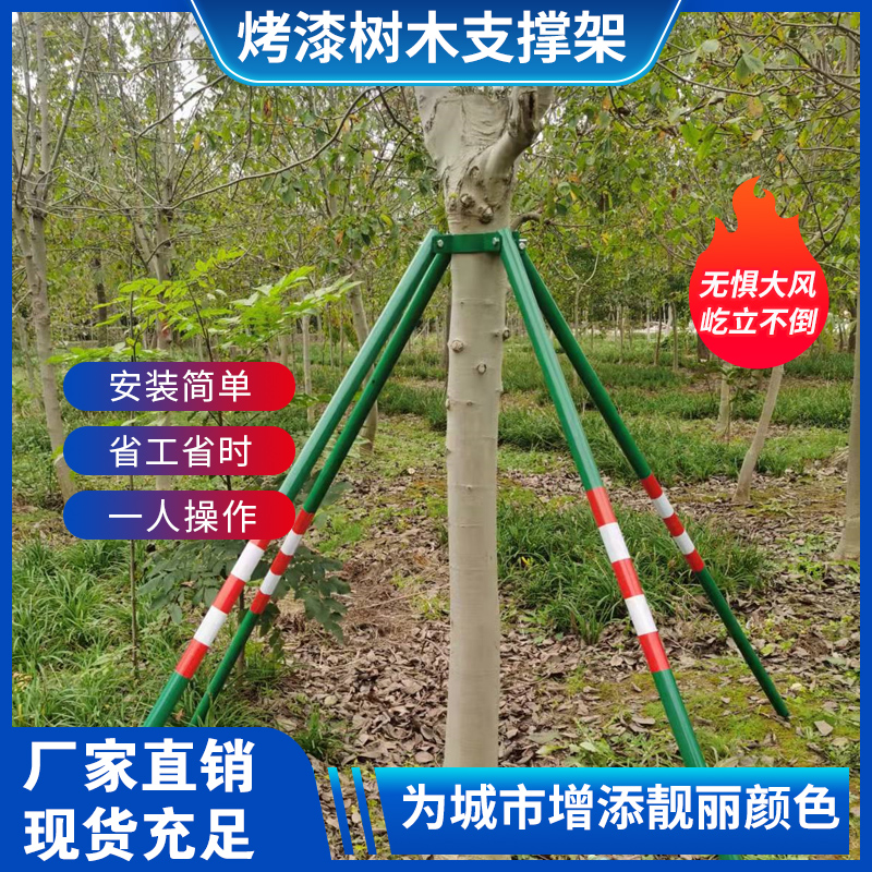 镀锌钢管树木支撑架大树防风固定支架园林绿化苗木树木支撑固定器
