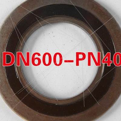 极速爆品标准DN600PN40石墨四氟金属缠绕垫片304不锈钢内外环型碳