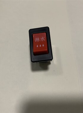 货车汽车淋水开关12oV24V通用带灯翘板开关煞车喷水按钮淋水器配
