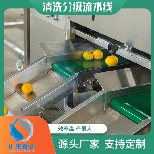 橙子柠檬小柑橘清洗分级流水线 沃柑小金橘清洗分级流水线厂家