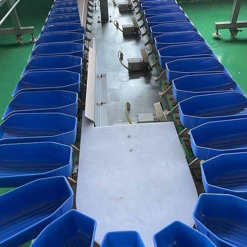 水产品重量分选机 鸡腿鸡翅重量分选机 不锈钢自动称重分选机设备