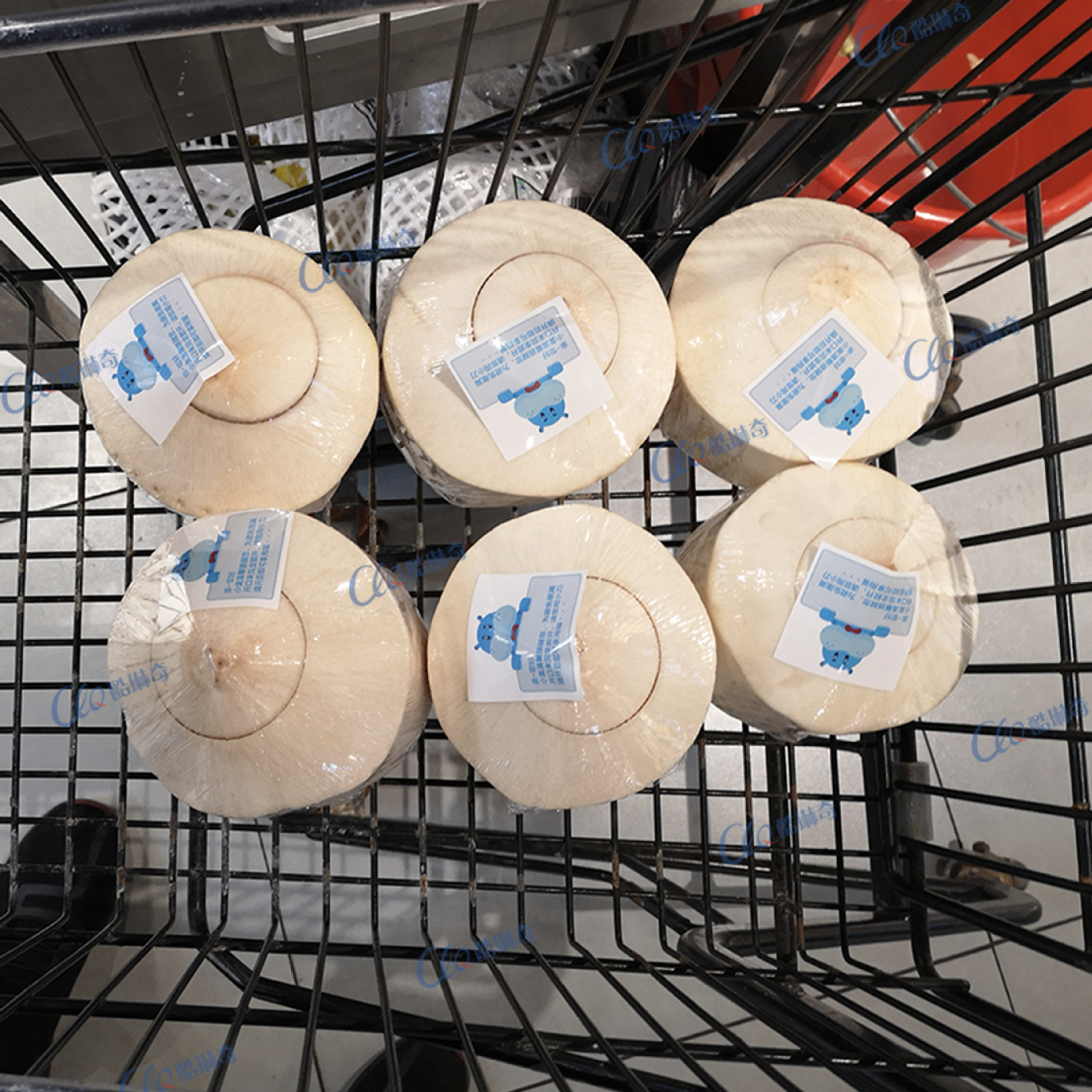 台式马来西亚椰子开盖青椰开口机开青椰盖机椰子开口设备厂家直销